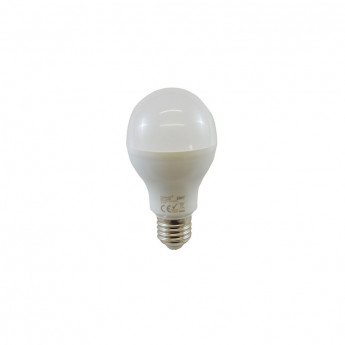 Ampoule LED E27 Bulb 15W 6000K