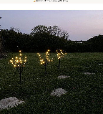 Piquets brindilles à planter
60 LED -   A PILES    - Extérieur