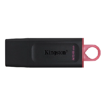 Clé USB KINGSTON DATATRAVELER EXODIA USB-A 3.2 Gen 1 - 256.0 GO